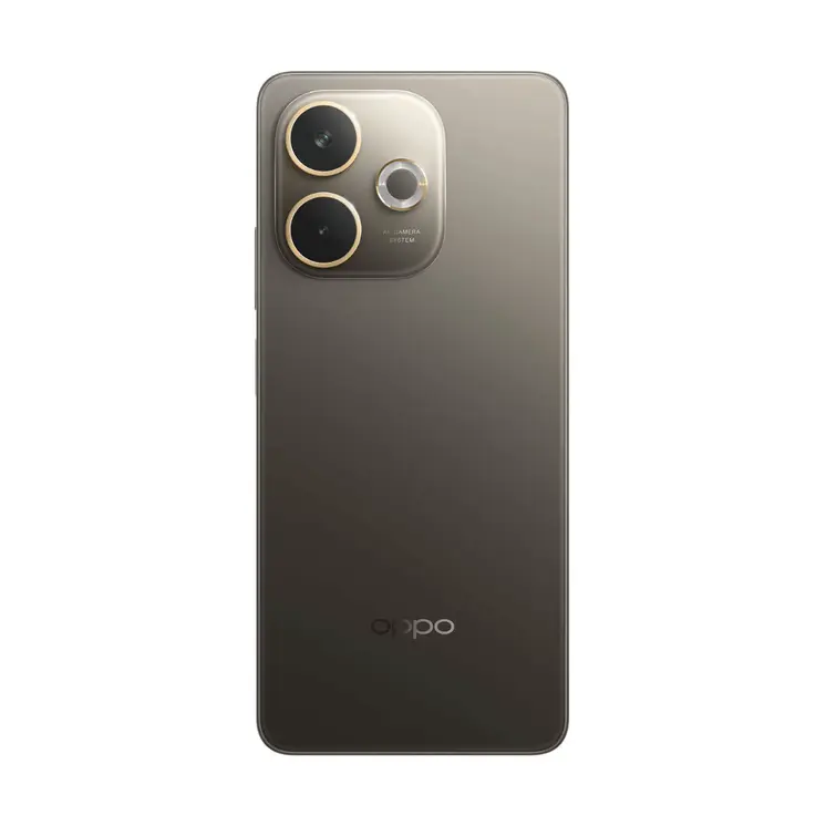 Smartphone Oppo 110010348094 6,67" Octa Core 8 GB RAM 256 GB Black