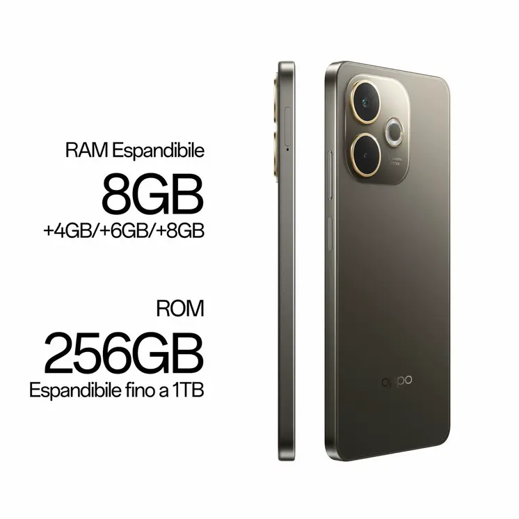 Smartphone Oppo 110010348094 6,67" Octa Core 8 GB RAM 256 GB Black