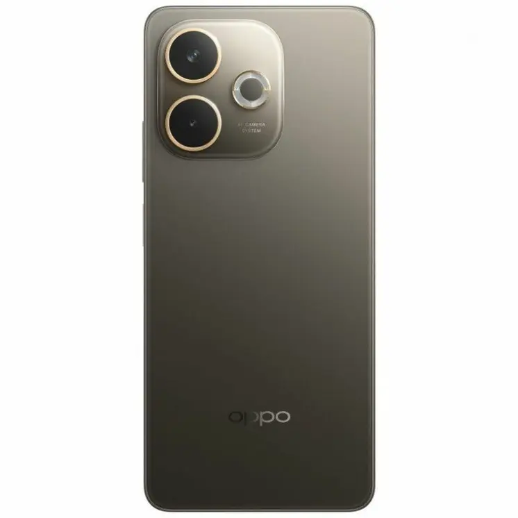 Smartphone Oppo 110010348094 6,67" Octa Core 8 GB RAM 256 GB Black