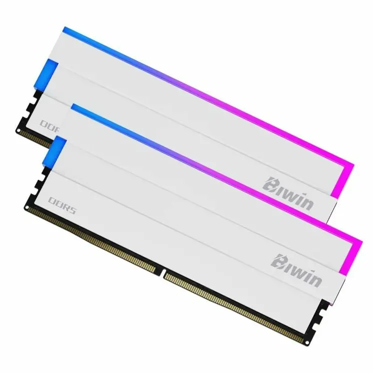RAM Memory Biwin DW100 DDR5 6000 MHz 32 GB cl30