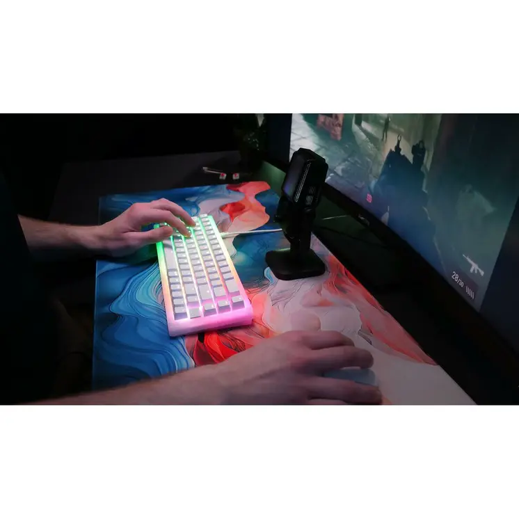 Keyboard and Mouse Cherry CXK5V2RGBCPTTPWHTRFR