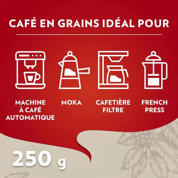Coffee beans Lavazza 2013