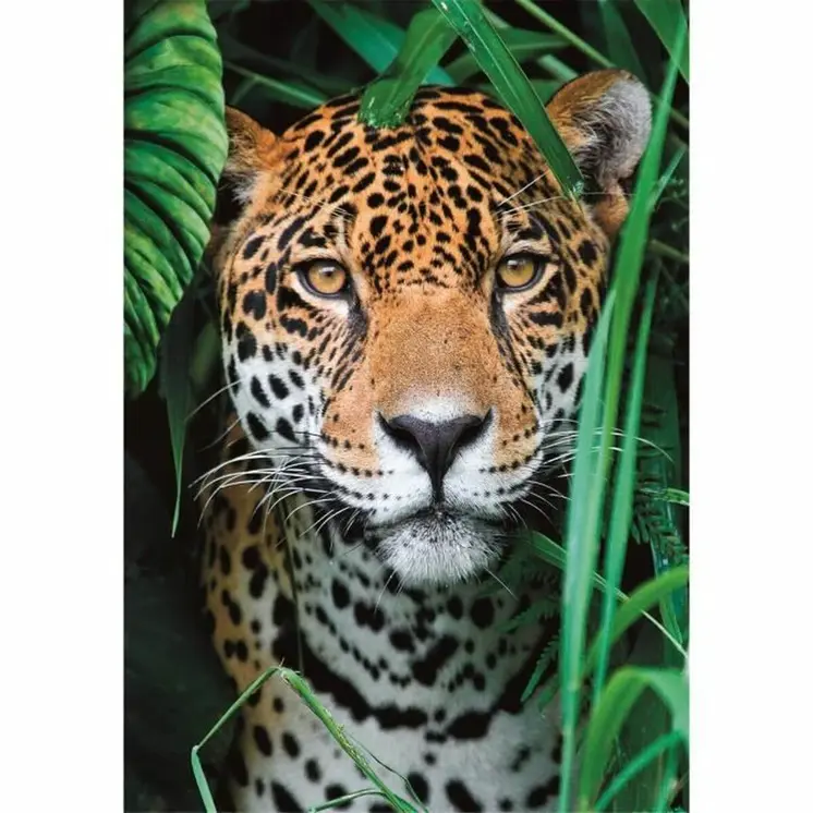 Puzzle Clementoni 500 Pieces