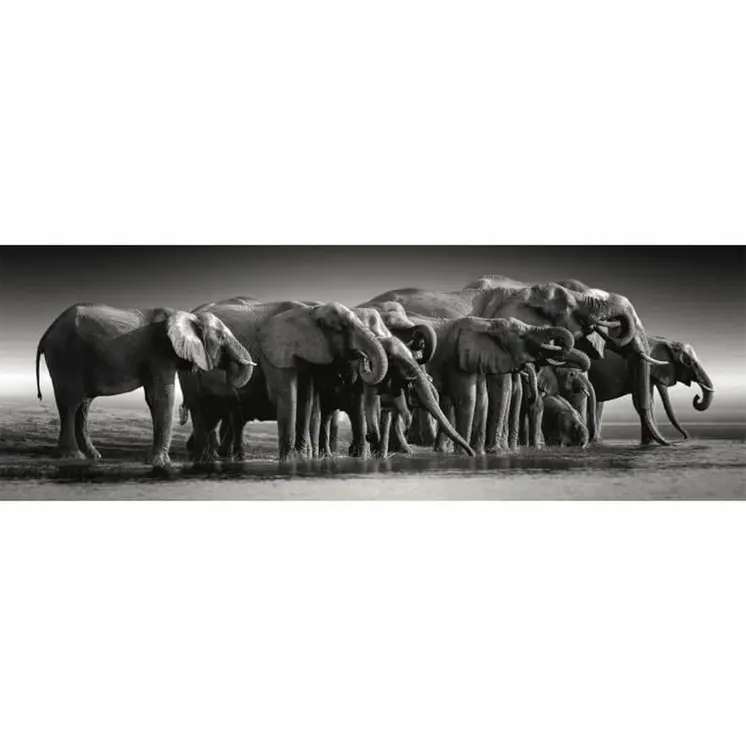 Puzzle Clementoni
