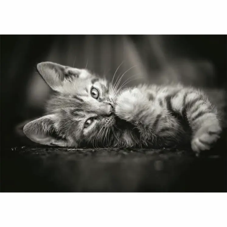 Puzzle Clementoni Kitty 1000 Pieces