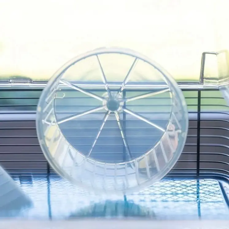 Cage Ferplast