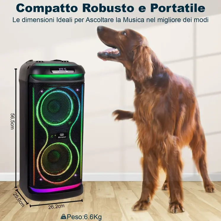 Portable Speaker Trevi Trevi XF 650 KB
