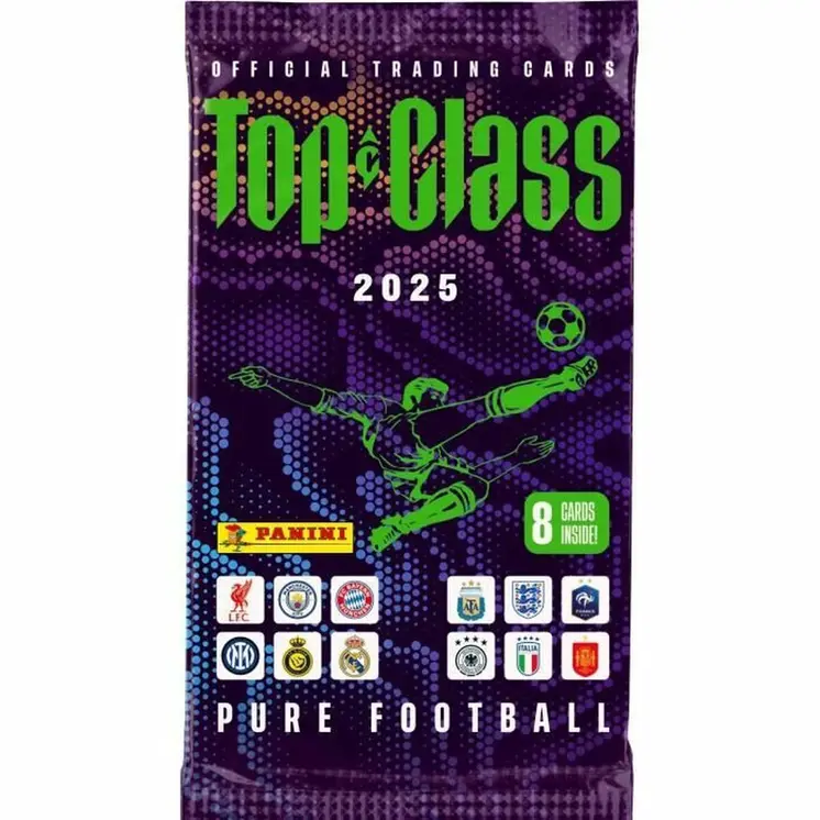 Pack of stickers Panini