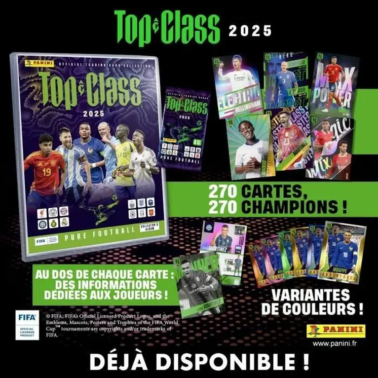 Pack of stickers Panini