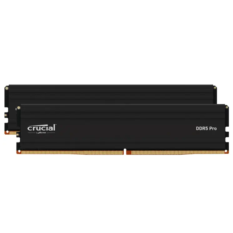 RAM Memory Crucial CP2K24G56C46U5 DDR5 SDRAM DDR5 48 GB
