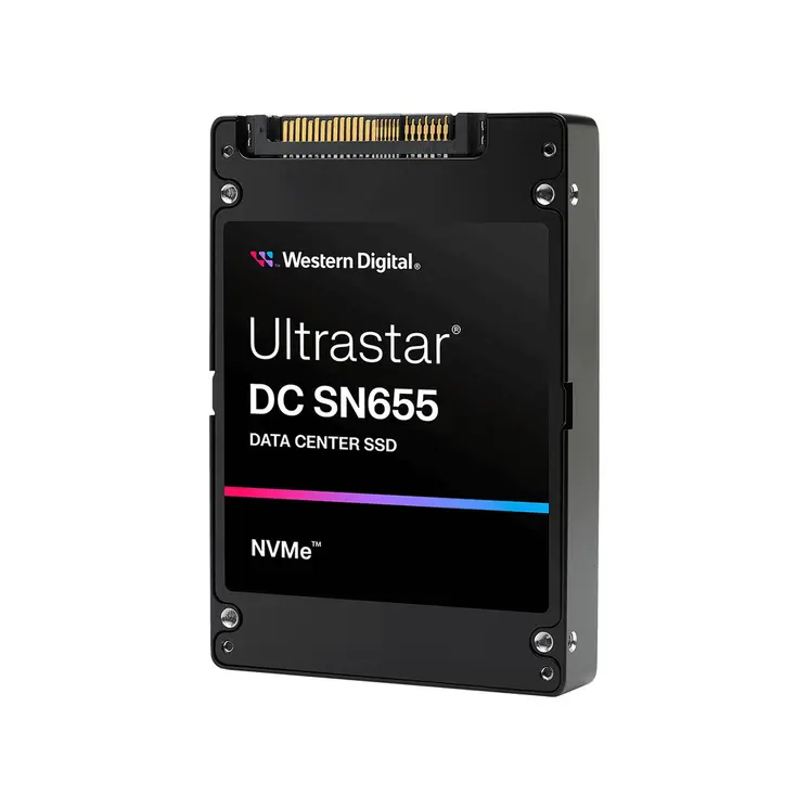 Hard Drive Western Digital 0TS2462 3,84 TB SSD