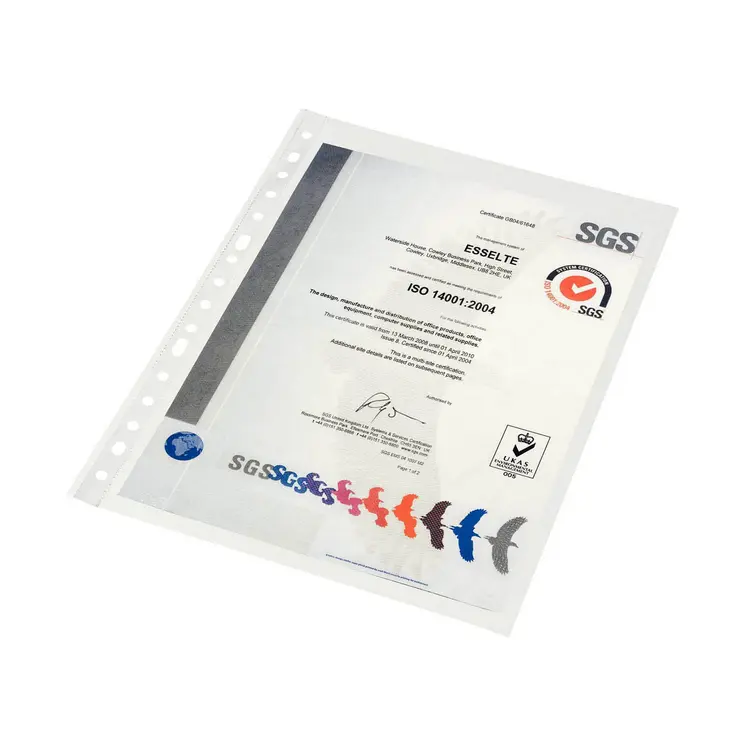 Covers Esselte A4 polypropylene