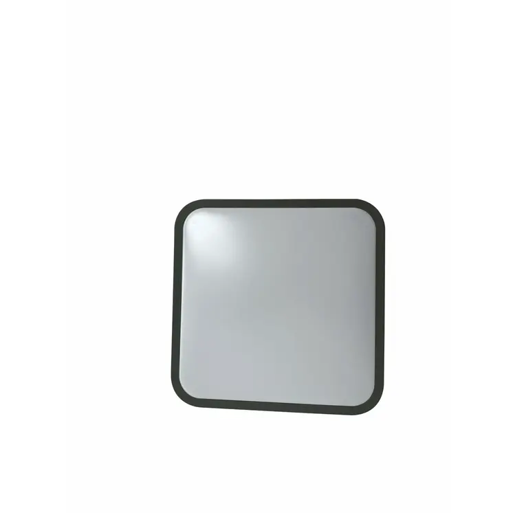 LED lamp Silver Electronics 490517