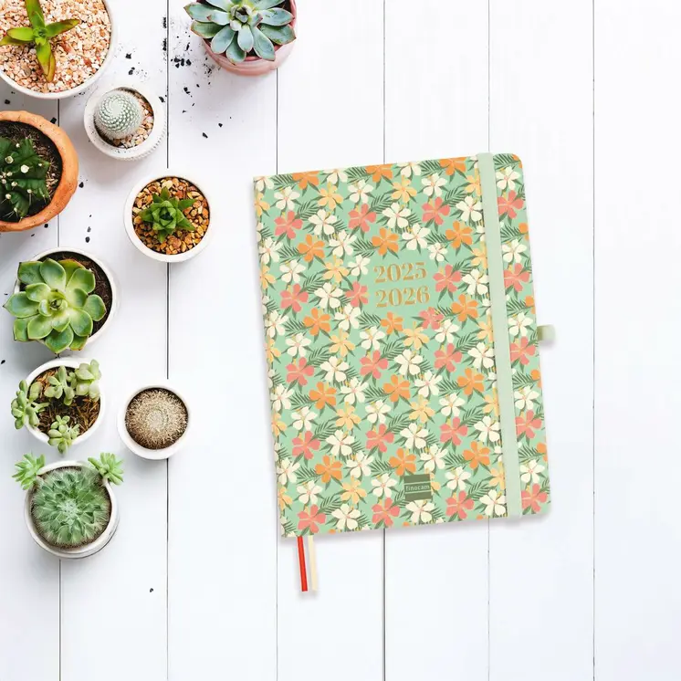 Diary Finocam