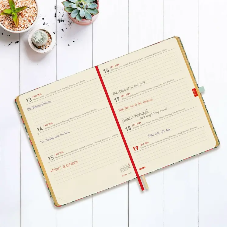 Diary Finocam
