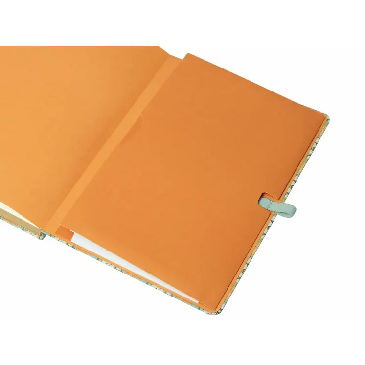 Diary Finocam