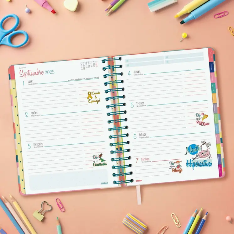 Diary Finocam