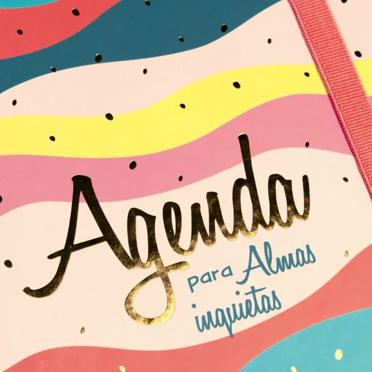 Diary Finocam