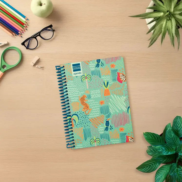 Diary Finocam