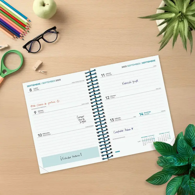 Diary Finocam