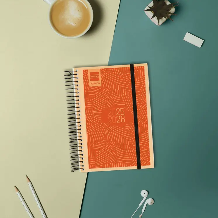 Diary Finocam