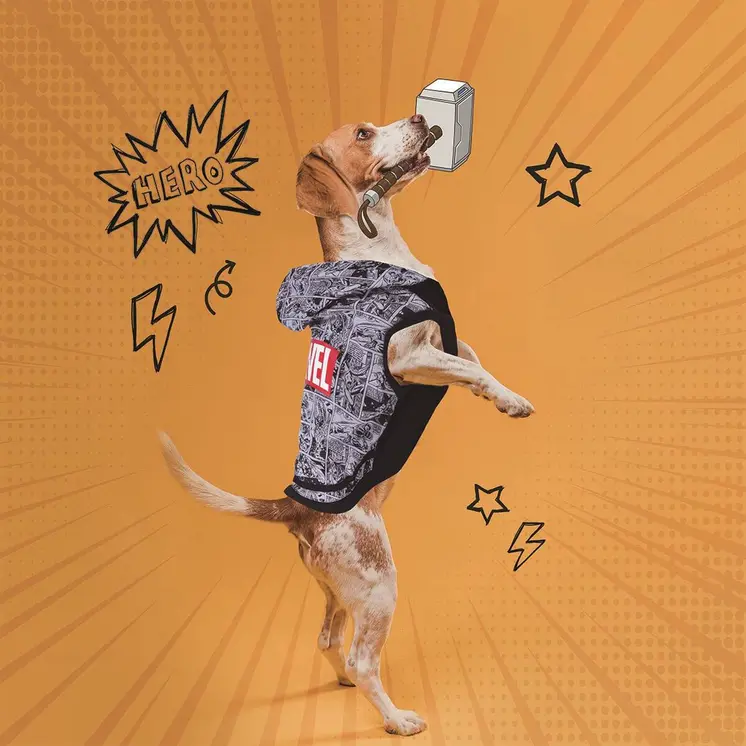 Dog Sweatshirt Marvel S