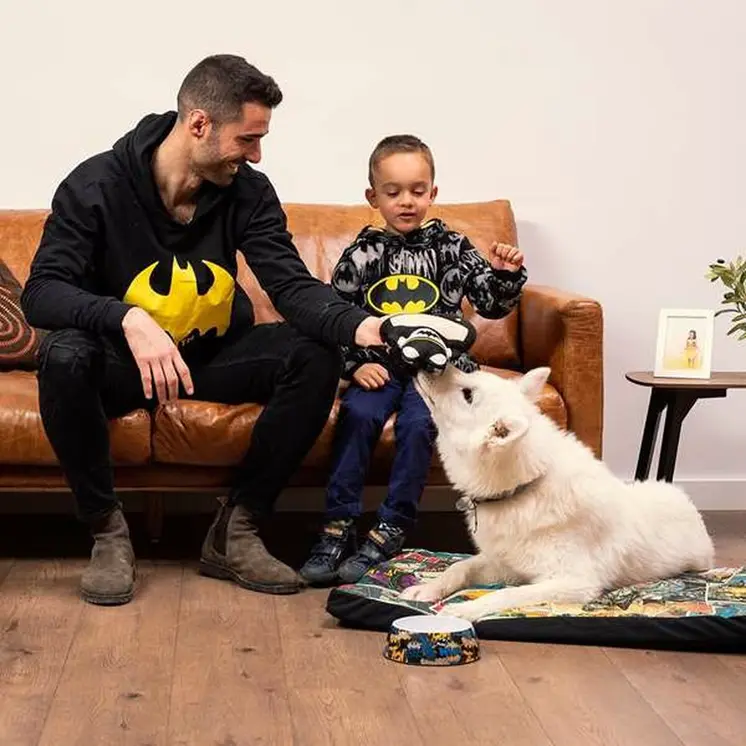 Dog toy Batman