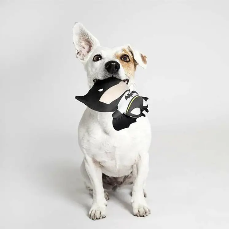 Dog toy Batman