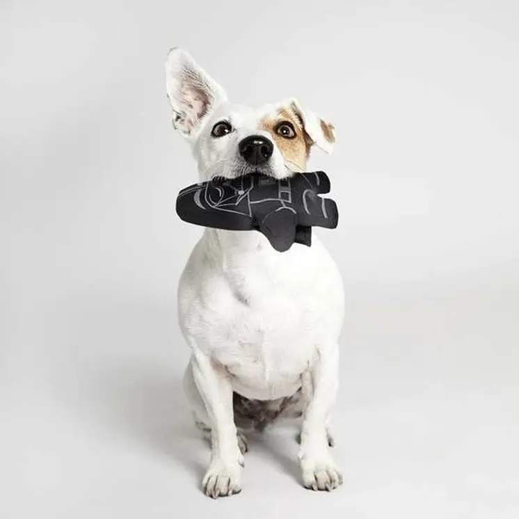 Dog toy Star Wars