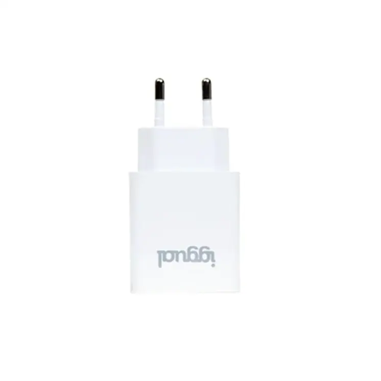 Wall Charger iggual IGG318317 30 W