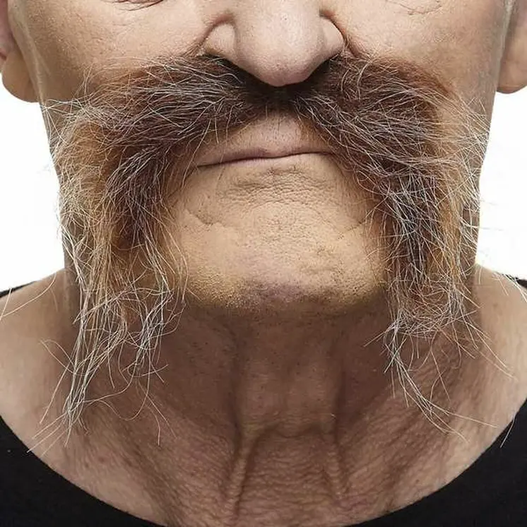 Moustache My Other Me Brown