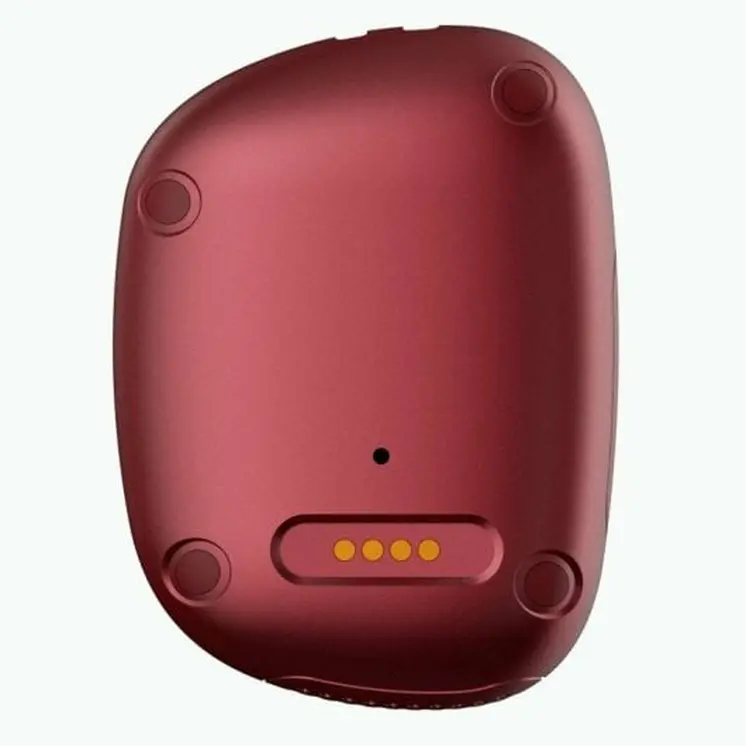 GPS locator LEOTEC LETRACK02R