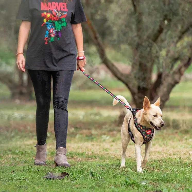 Dog Lead Marvel