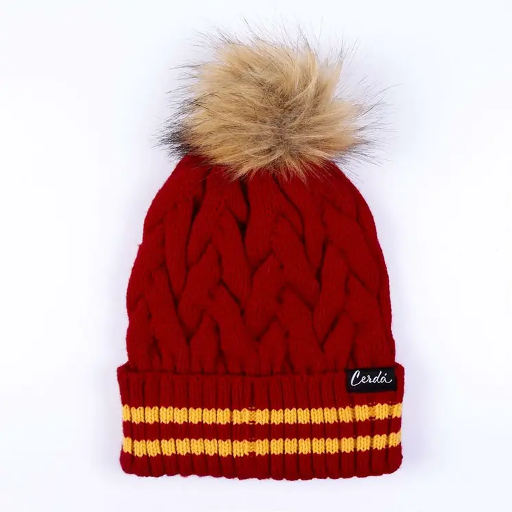 Child Hat Harry Potter Gryffindor