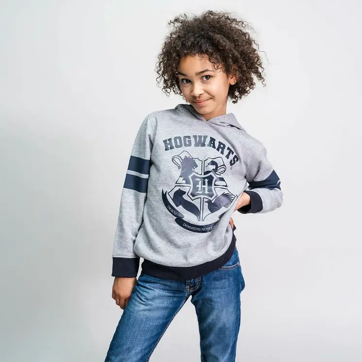 Children’s Hoodie Harry Potter Grey