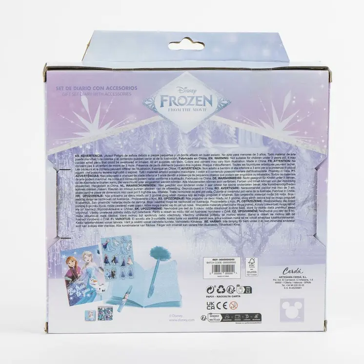 Diary with accessories Frozen
