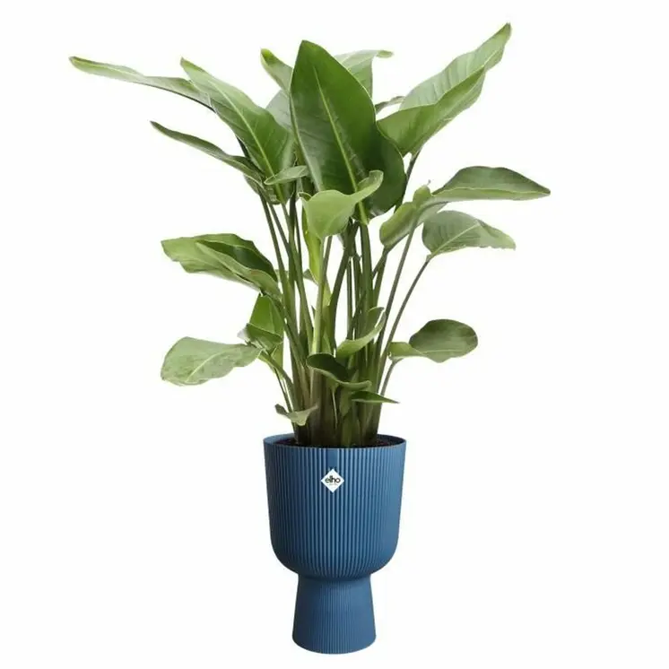 Plant pot Elho