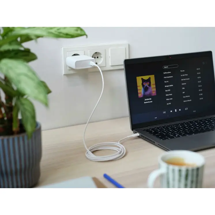 Wall Charger Trust 25140 White