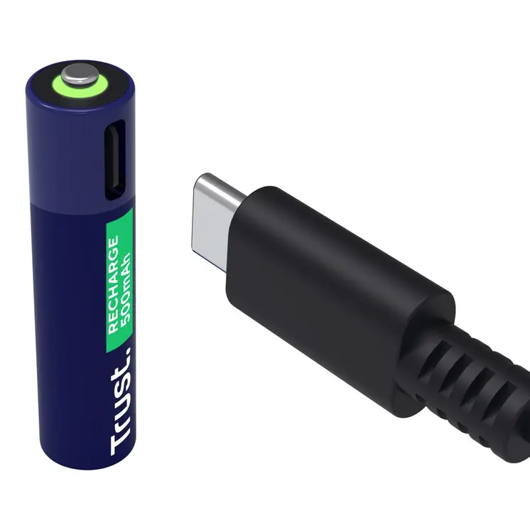 Batteries Trust 25585 500 mAh AAA 3,7 V (2 Units)