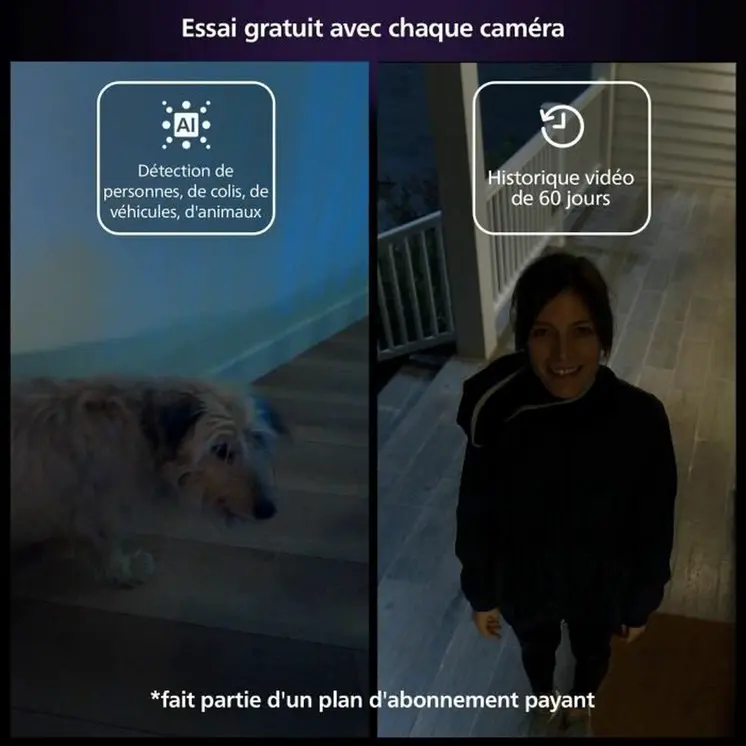 Simulated security camera Philips