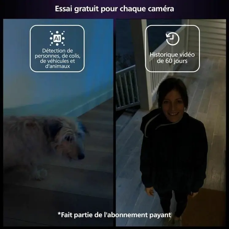Simulated security camera Philips