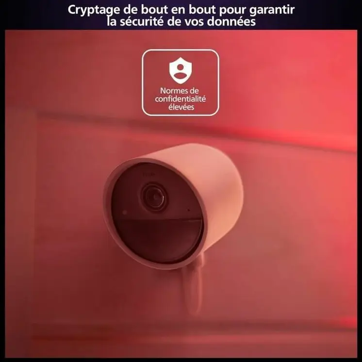 Simulated security camera Philips