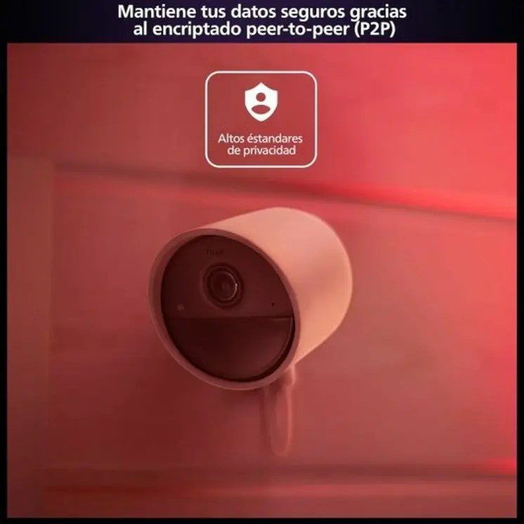 Simulated security camera Philips
