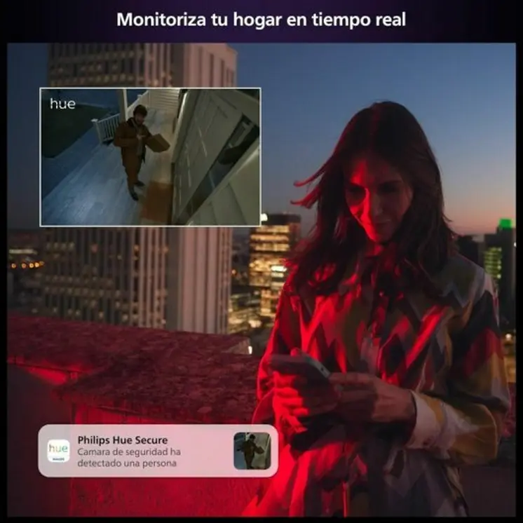 Simulated security camera Philips