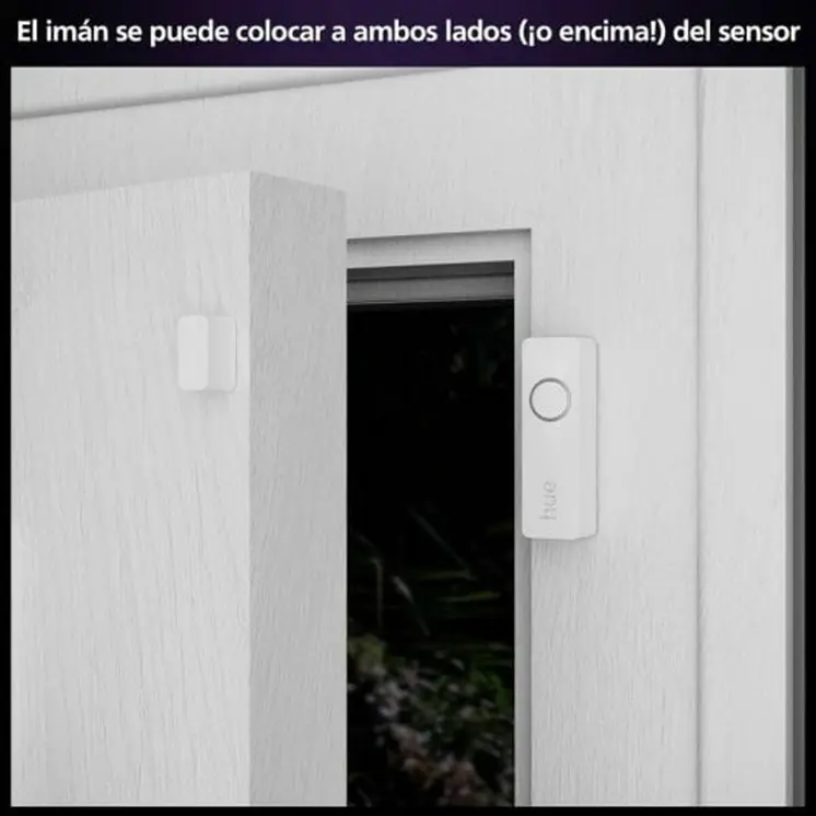 Simulated security camera Philips