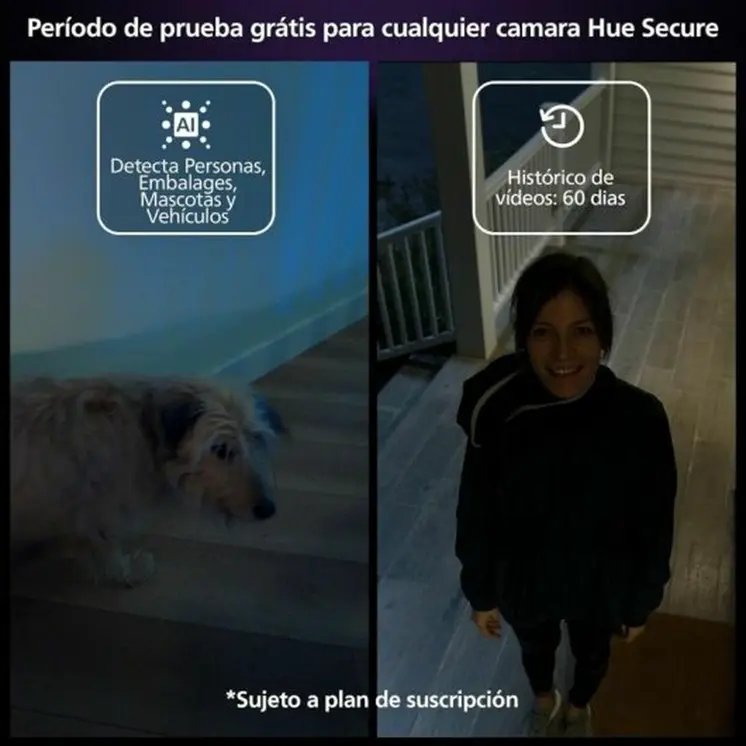 Simulated security camera Philips