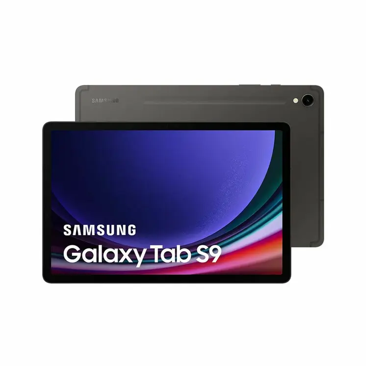 Tablet Samsung Galaxy Tab S9 12 GB RAM 11" 256 GB Grey