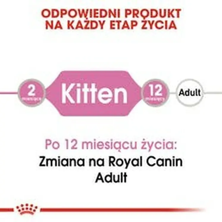 Cat food Royal Canin Kitten Jelly Chicken 85 g