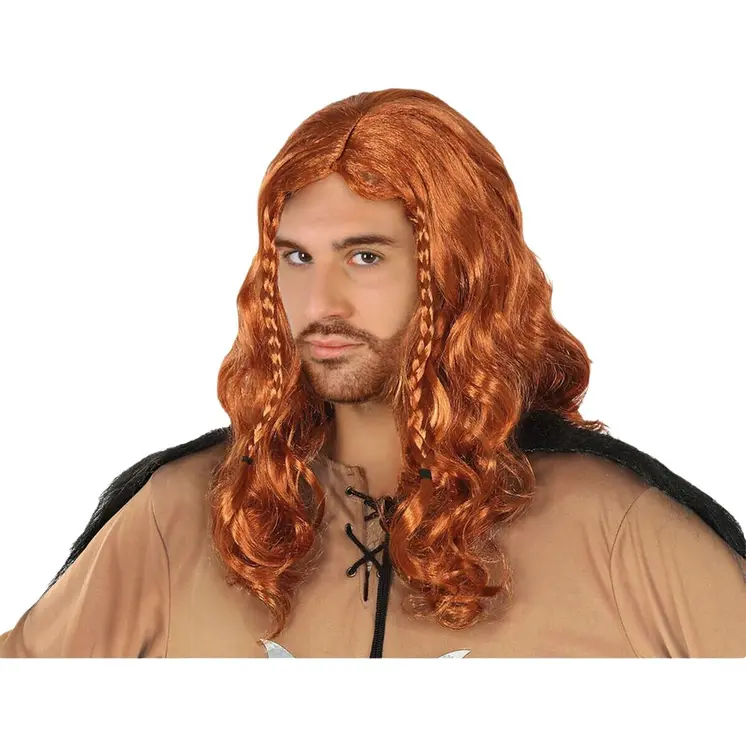 Wigs Brown Male Viking