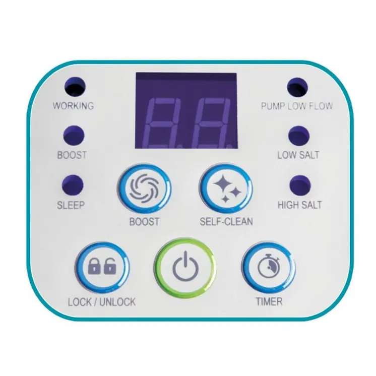 Salt Chlorination System Intex